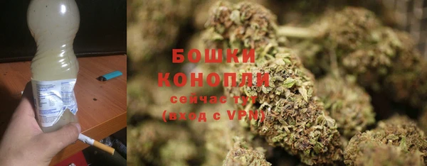 шишки Козловка