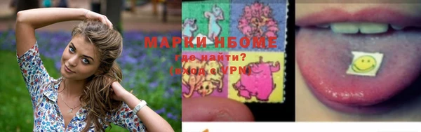 стаф Кодинск