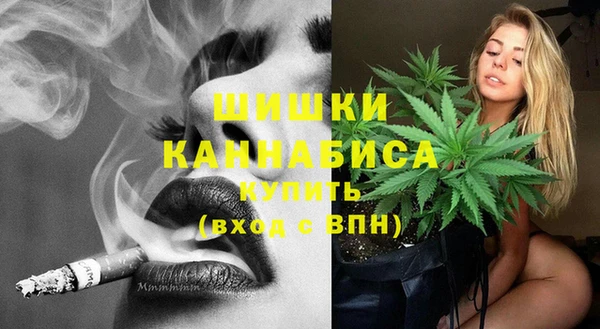 стаф Кодинск