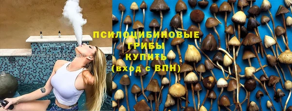 тгк Козельск