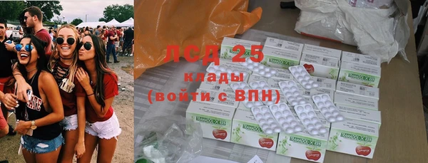 шишки Козловка