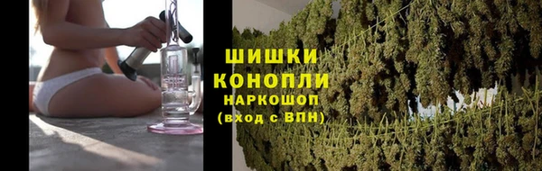 стаф Кодинск