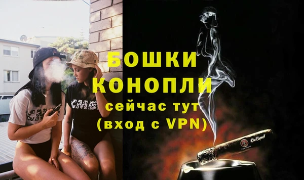 стаф Кодинск