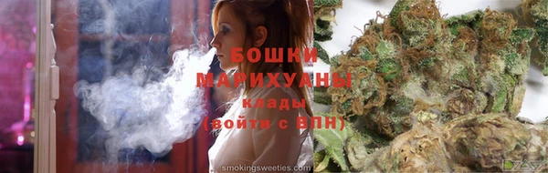 стаф Кодинск