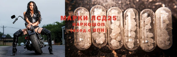 шишки Козловка