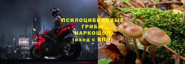 шишки Козловка