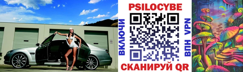 Псилоцибиновые грибы Psilocybine cubensis  Купить  Калачинск 